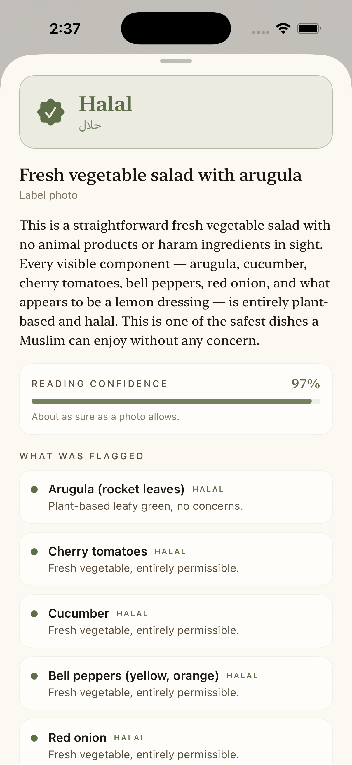 A Mizan halal reading: 'Halal' verdict for a fresh vegetable salad, with a 97% reading confidence bar and per-ingredient flags